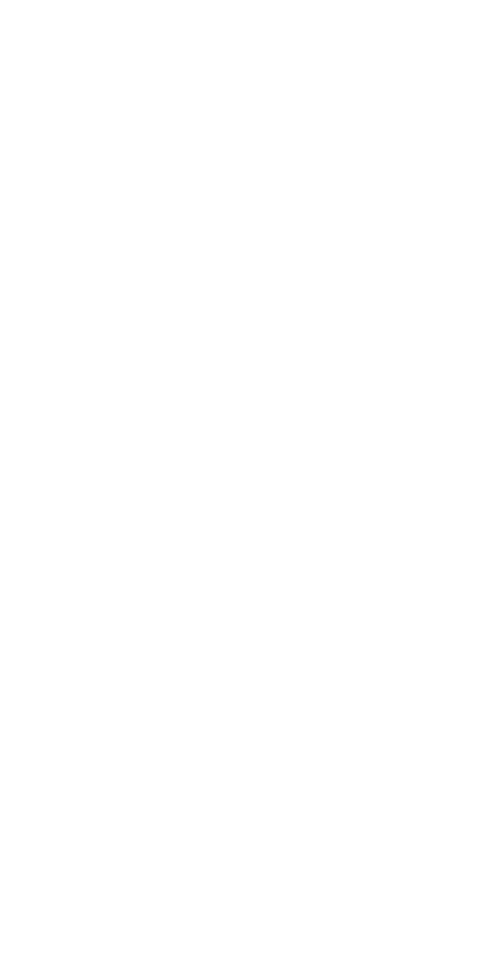 Phone Frame